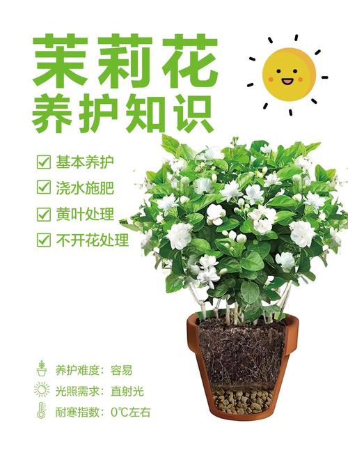 六、常见问题与解决