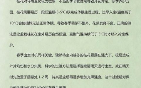 桂花树为什么不开花？常见原因分析与排查指南