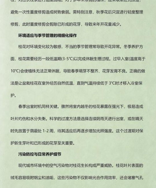 桂花树为什么不开花？常见原因分析与排查指南