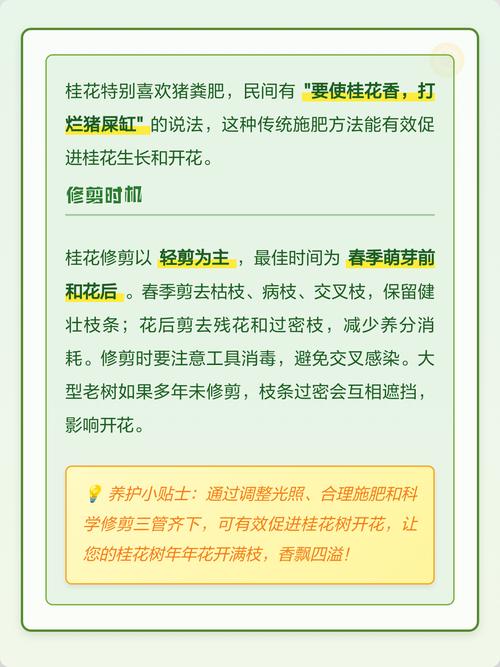 桂花树为什么不开花?常见原因分析与排查指南 四、病虫害侵染原因与症状