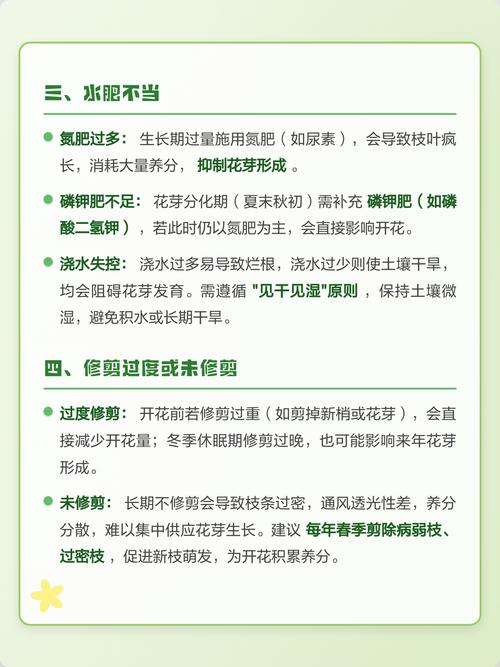 桂花树为什么不开花?常见原因分析与排查指南 处理办法汇总