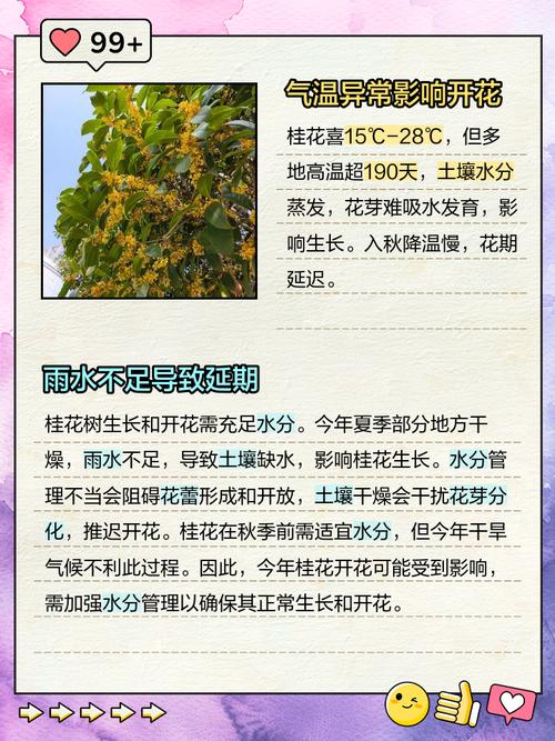 桂花树为什么不开花?常见原因分析与排查指南 总结