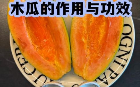 木瓜蛋白酶在园艺中的妙用：品牌推荐与选购指南