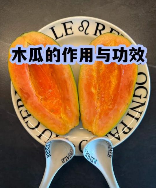 木瓜蛋白酶在园艺中的妙用：品牌推荐与选购指南