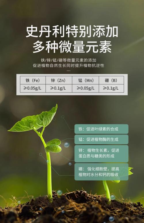 选购要点与使用建议