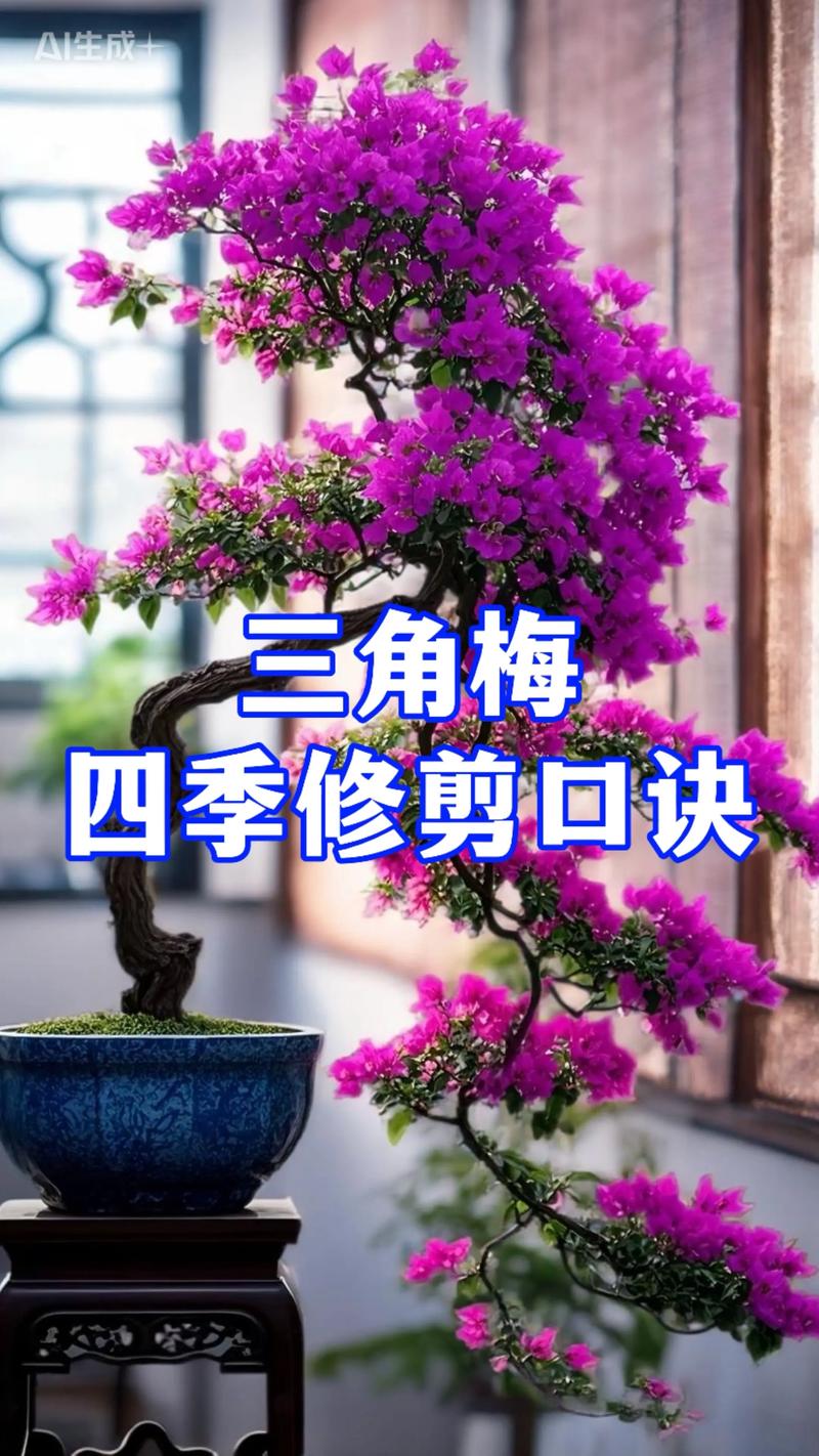 三角梅剪枝后怎么养护?恢复快、开花多的关键步骤 三角梅剪枝后怎么养护?恢复快、开花多的关键步骤