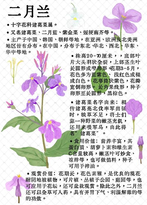 季节因素
