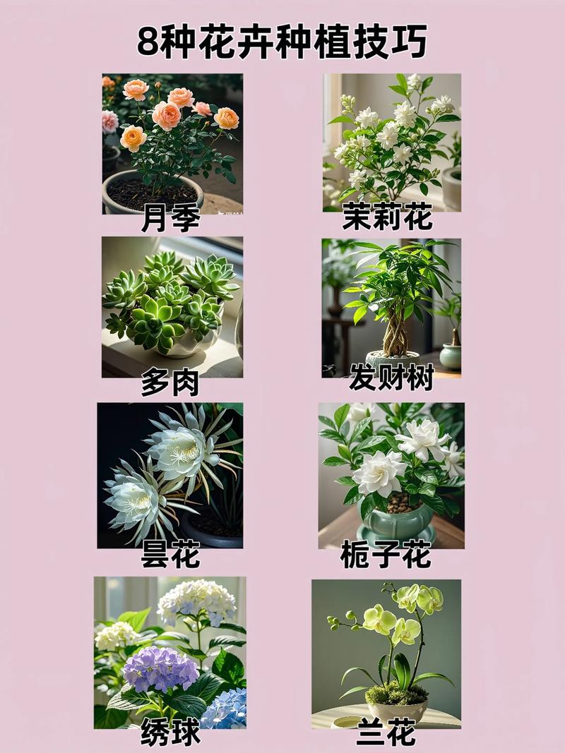 光照与水肥精准方案：按季节调控