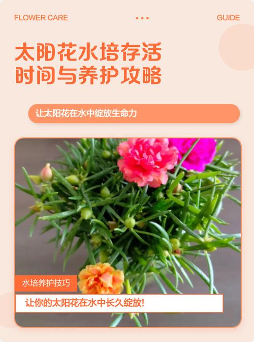 总结