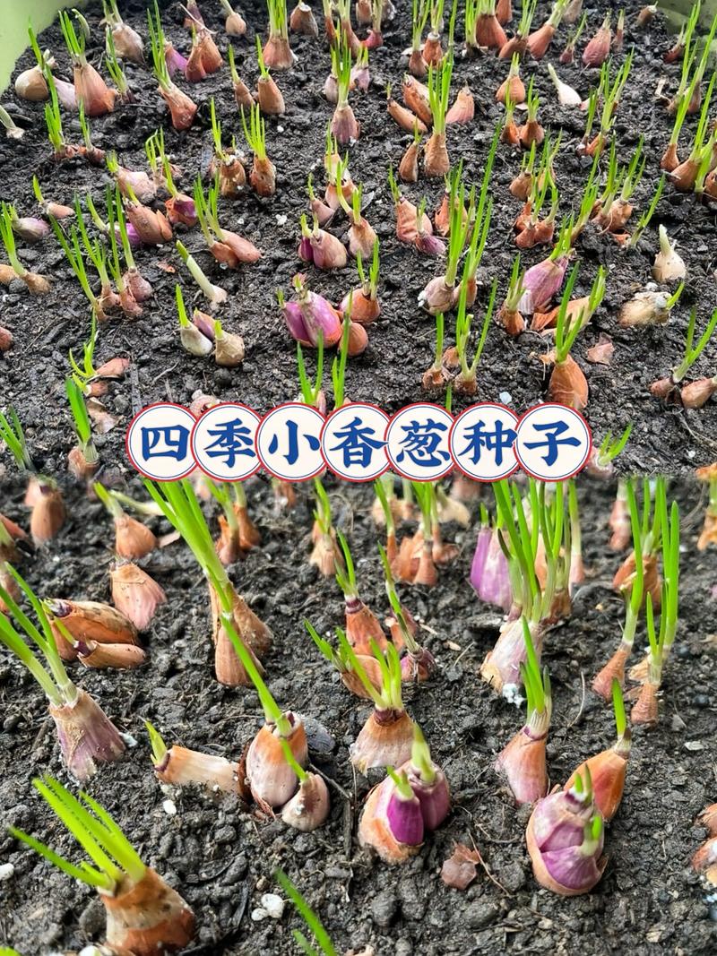 五、避开常见误区