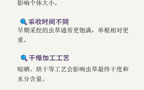 1根虫草的多少克？揭秘冬虫夏草重量与人工栽培园艺技术
