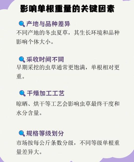 1根虫草的多少克？揭秘冬虫夏草重量与人工栽培园艺技术