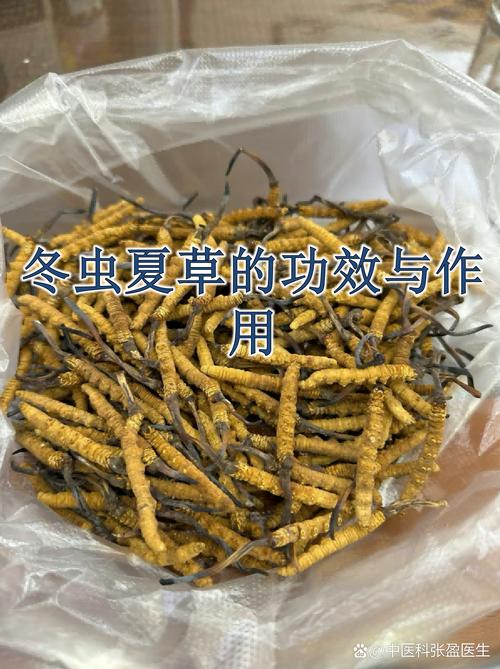 1根虫草的多少克?揭秘冬虫夏草重量与人工栽培园艺技术 虫草人工栽培的园艺技术要点
