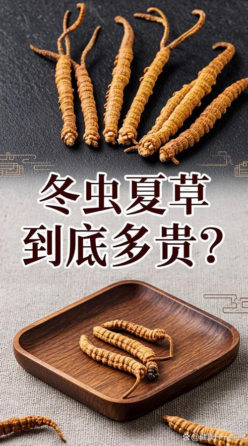 1根虫草的多少克?揭秘冬虫夏草重量与人工栽培园艺技术 常见问题与注意事项