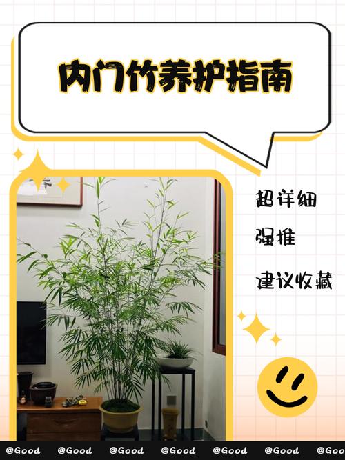 农村家里种竹子好不好?园艺师全面分析利弊与养护要点 三、养护管理要点(以地栽为例)