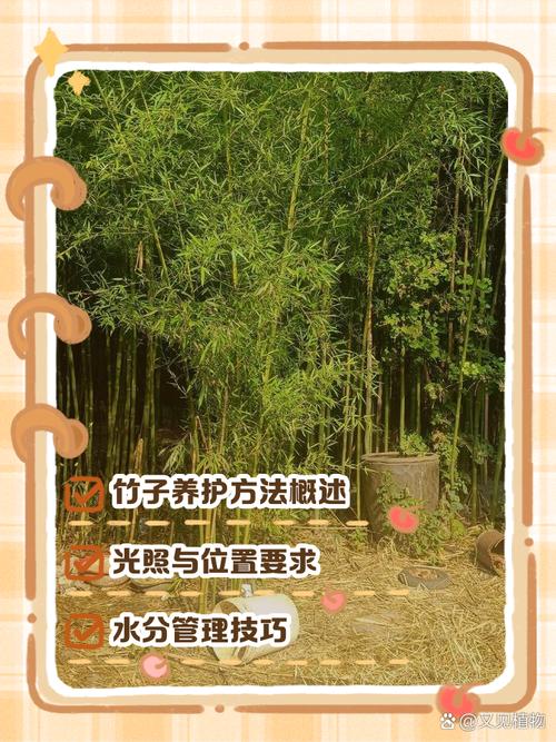 农村家里种竹子好不好?园艺师全面分析利弊与养护要点 六、最终建议