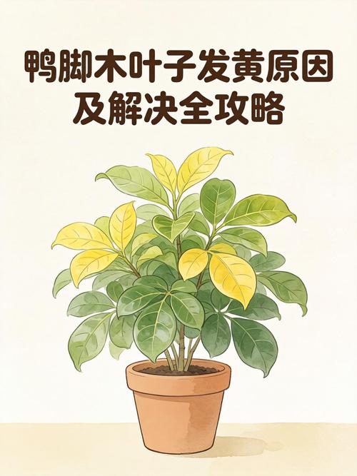鸭脚木叶子发黄怎么办?原因排查与防治全指南 处理办法