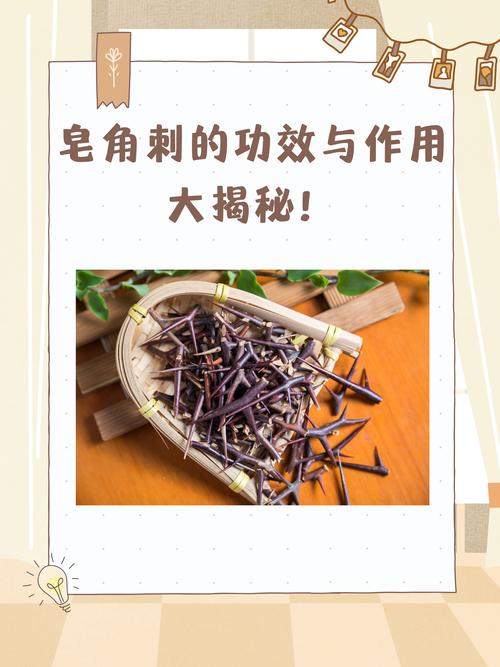 皂角刺的功效与作用:消肿排脓的天然良药 皂角刺的功效与作用:消肿排脓的天然良药