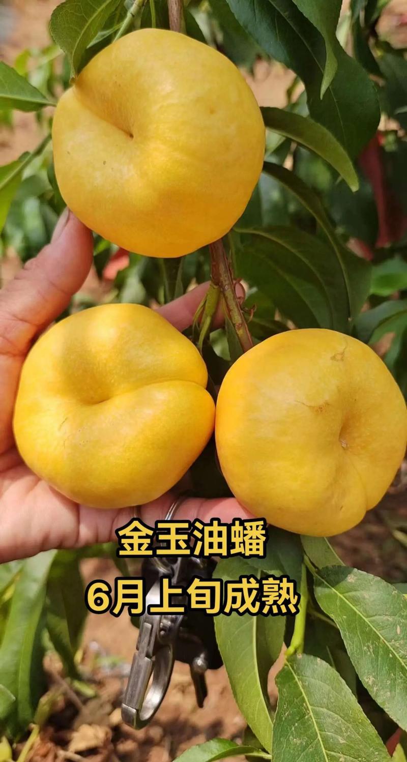 四、场景化选购建议