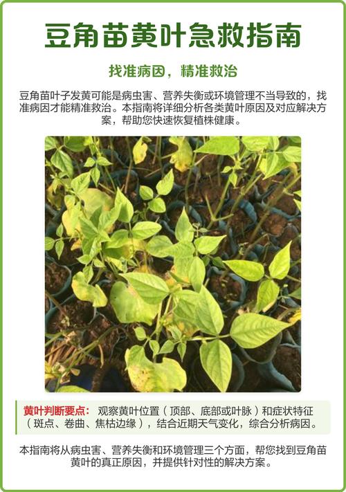 判断误区提醒