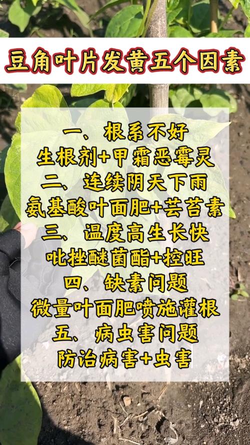 对应处理办法