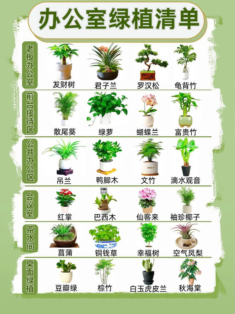 银杏树种植全攻略:提高成活率的7个关键技术 银杏树种植全攻略:提高成活率的7个关键技术