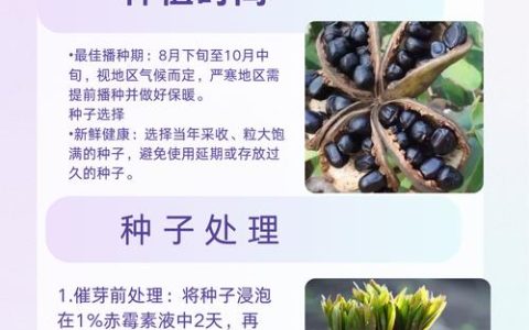 如何培育牡丹苗：告别“假活”的精准繁殖方案