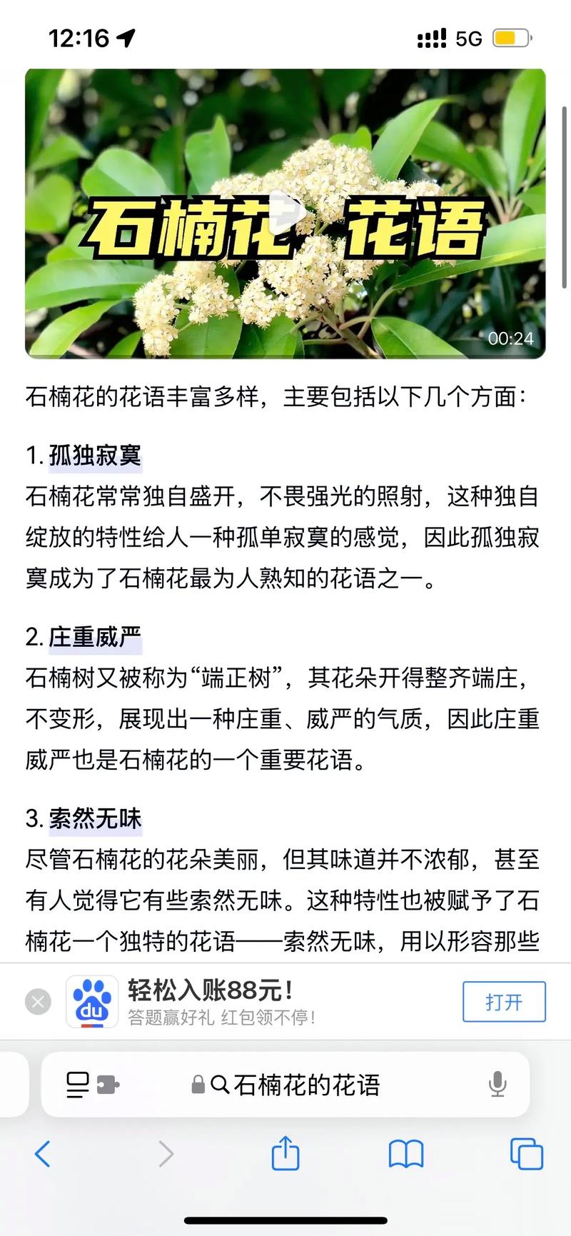 石楠花为什么11月开花?反常花期原因与应对指南 不开花(或异常开花)的常见原因与解决