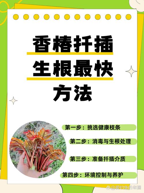 香椿苗可以插活吗?详细解析扦插繁殖技巧与注意事项 五、结论:香椿苗可以插活,但需讲究方法