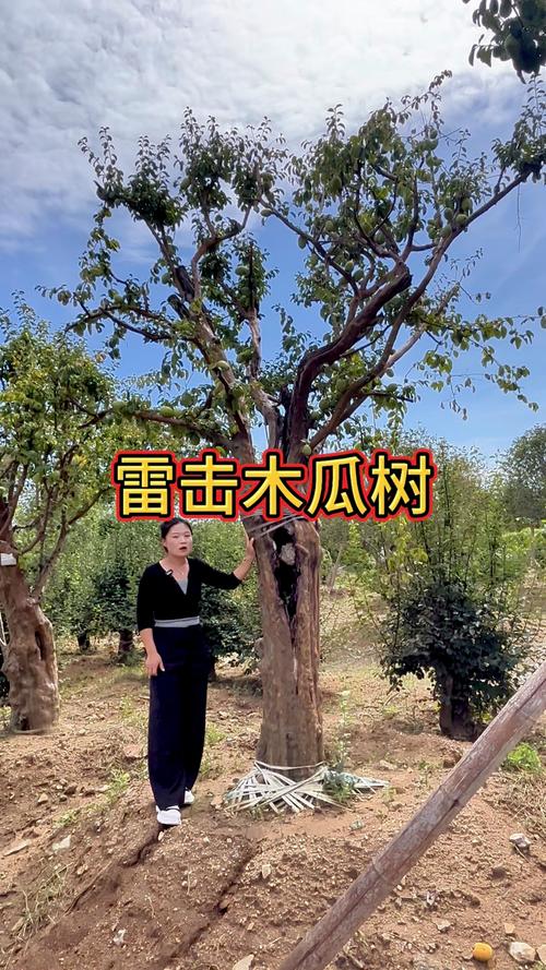 六、结论：值钱与否，取决于你如何利用