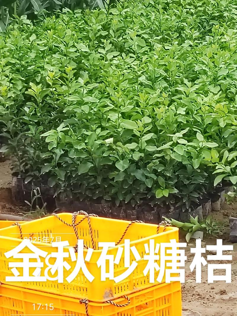 价格快速参考