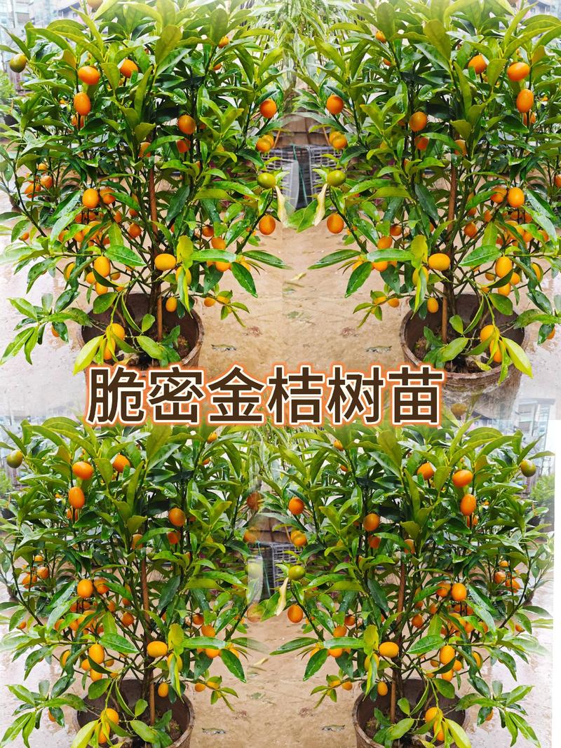 四、采购数量直接影响单价