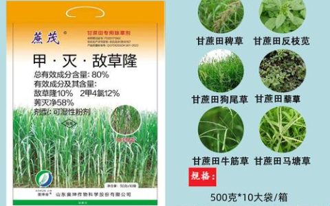 敌草隆除草剂的功效、作用及使用注意事项详解