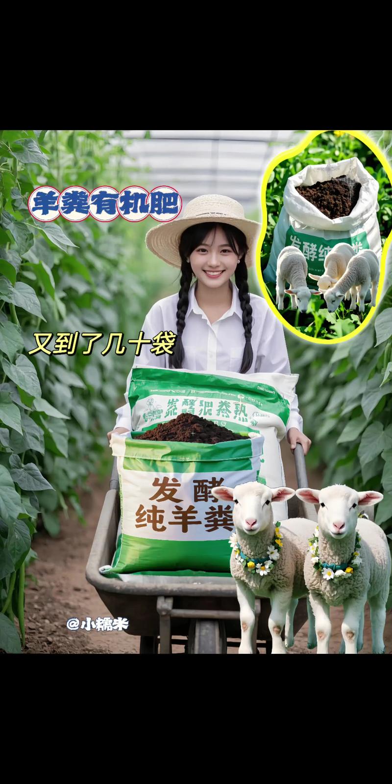 羊粪肥料多少钱一吨?2025年最新价格参考与影响因素全解析 2. 产地(产地决定原料成本与运费基数)