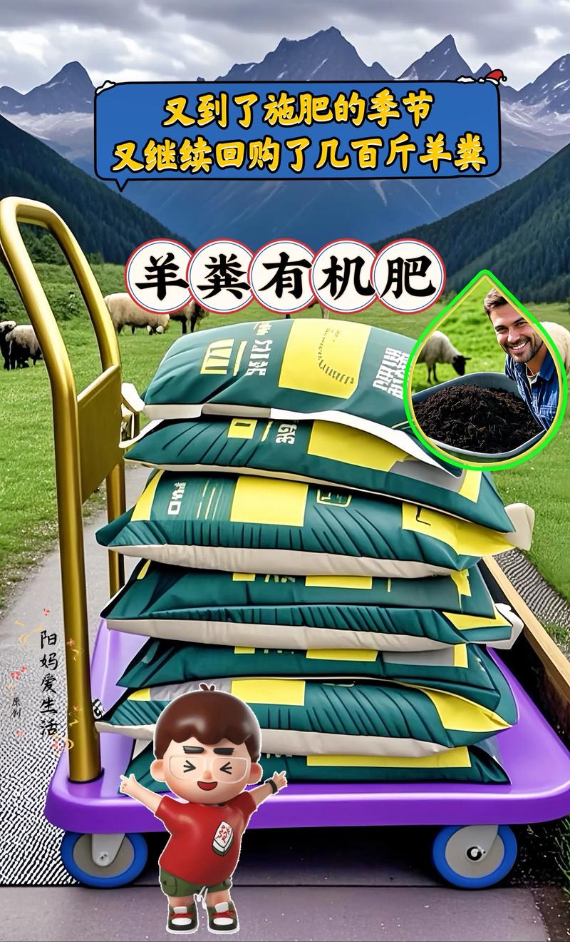 羊粪肥料多少钱一吨?2025年最新价格参考与影响因素全解析 3. 季节(夏秋低价,冬春小涨)