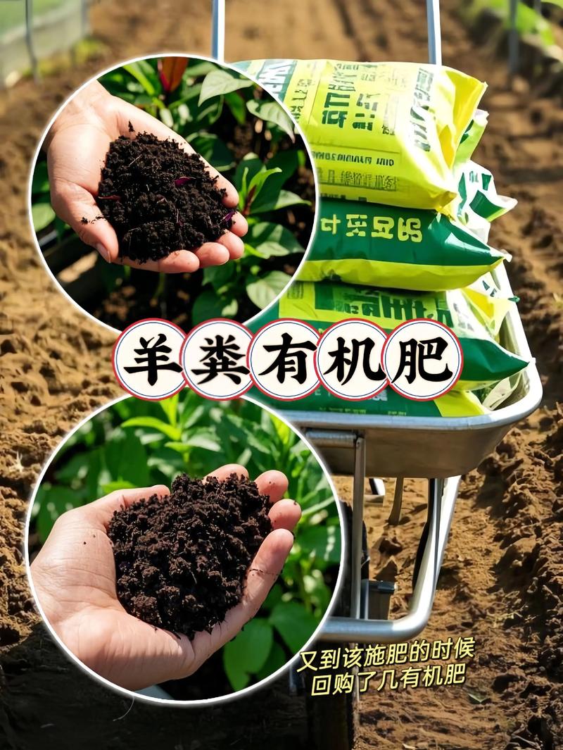 羊粪肥料多少钱一吨?2025年最新价格参考与影响因素全解析 价格综合对比表