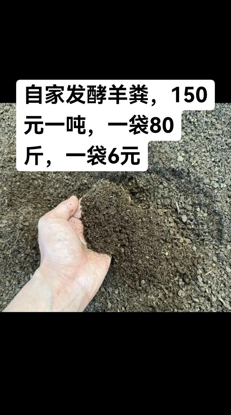 羊粪肥料多少钱一吨?2025年最新价格参考与影响因素全解析 咨询指南