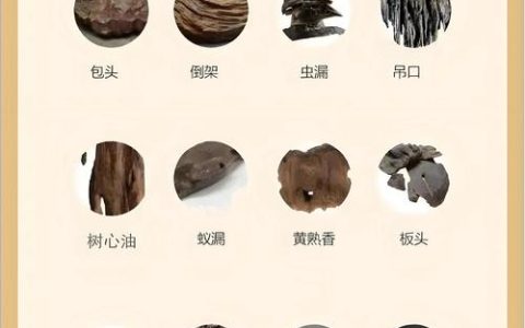沉香种子能否提取沉香精油？一文说清来源与萃取真相