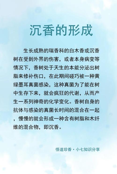 沉香种子能否提取沉香精油?一文说清来源与萃取真相 四、那沉香种子有没有用?