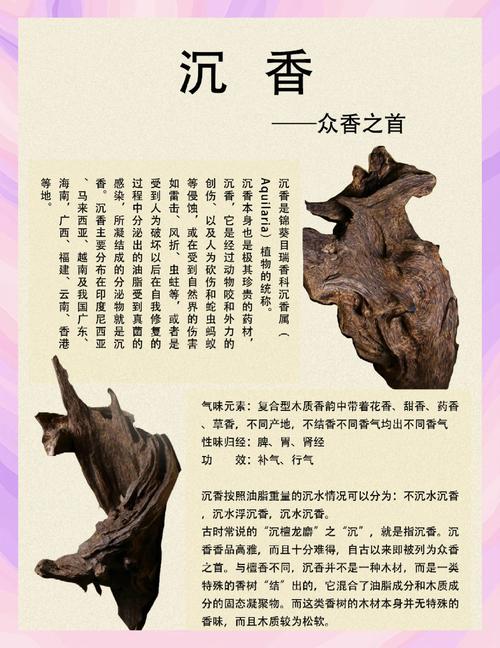 沉香种子能否提取沉香精油?一文说清来源与萃取真相 五、给香友的理性建议