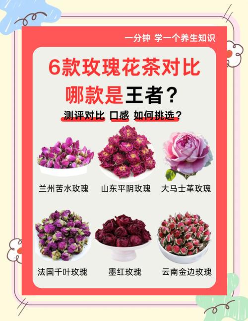 玫瑰花茶的价格多少?2026年市场报价与影响因素全解析 五、运输与区域:物流成本占10%~30%