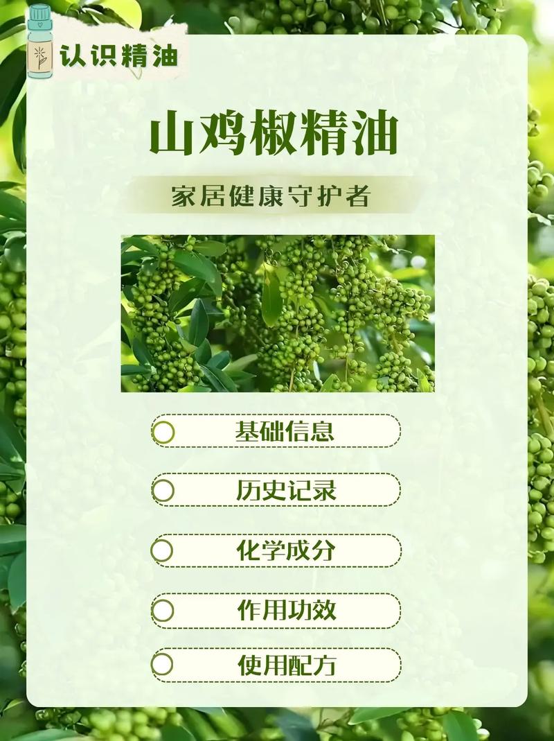 木姜子种植与精油提炼全攻略:从花园到香氛 应用与注意事项
