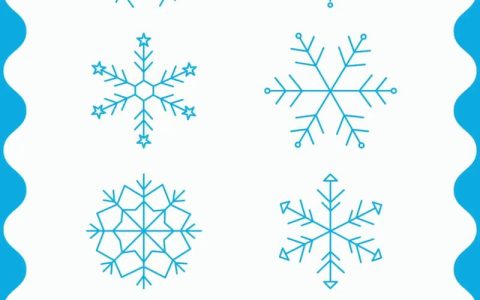 雪花形状的植物：冬日花园里的自然几何之美