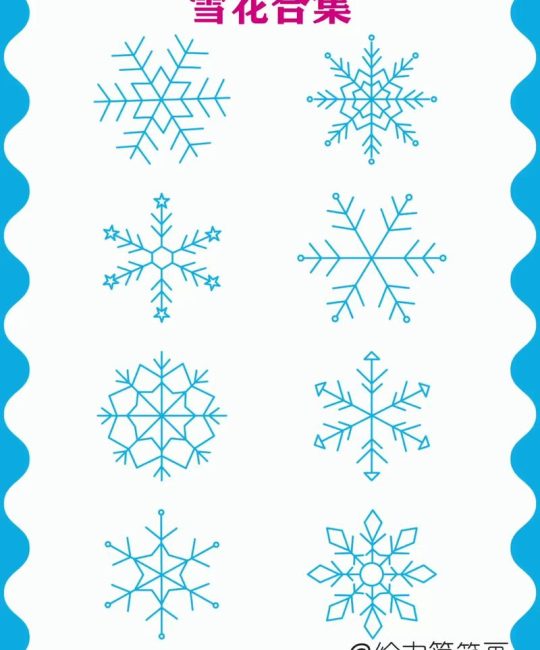 雪花形状的植物：冬日花园里的自然几何之美