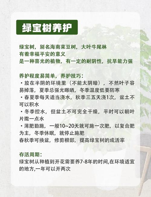 四季常青又速生:这5种乔木让你四季有绿荫,附南北种植攻略 5. 台湾相思 (Acacia richii) 仅限华南地区