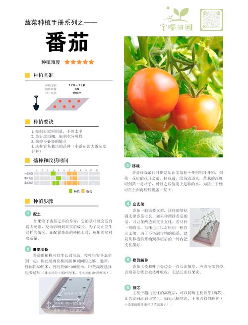 番茄亩种植多少株?最佳密度与栽植技术指南 总结