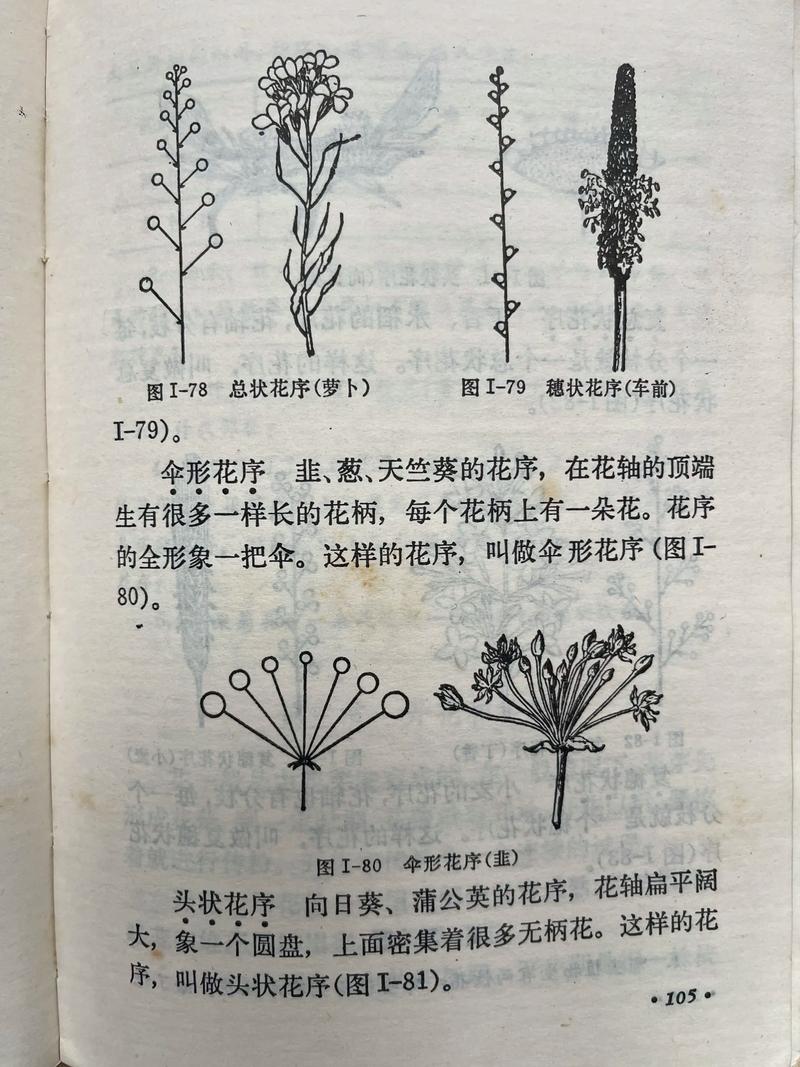 不开花不结果常见原因与解决方法