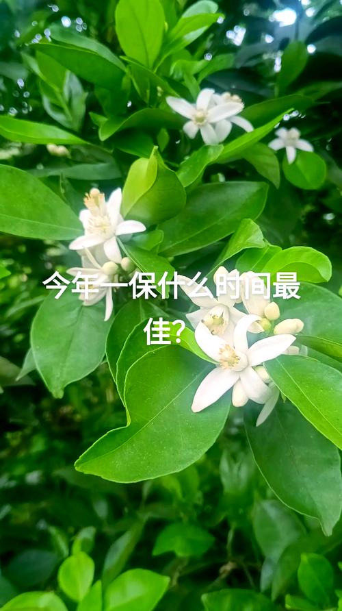 总结