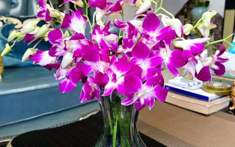 插花都有什么花？从主花到配叶，一文读懂插花常用花材