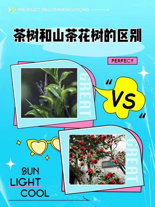 茶花是茶叶树的花吗?一文读懂茶花与茶叶树的区别及盆栽养护全攻略 FAQ